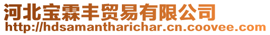 河北寶霖豐貿易有限公司