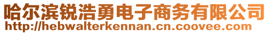 哈爾濱銳浩勇電子商務有限公司