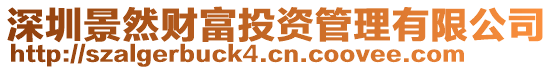 深圳景然財富投資管理有限公司