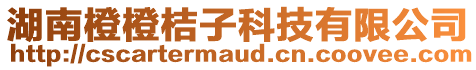 湖南橙橙桔子科技有限公司