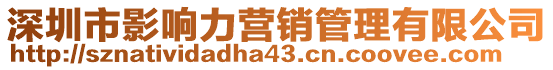 深圳市影響力營(yíng)銷(xiāo)管理有限公司