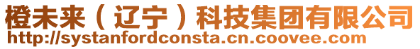 橙未來（遼寧）科技集團有限公司