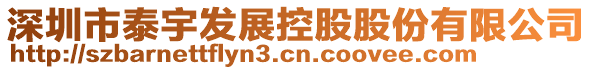 深圳市泰宇發展控股股份有限公司