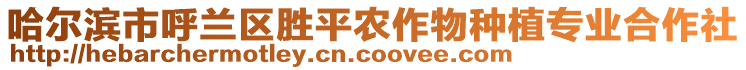 哈爾濱市呼蘭區(qū)勝平農作物種植專業(yè)合作社