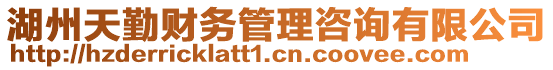 湖州天勤財(cái)務(wù)管理咨詢(xún)有限公司