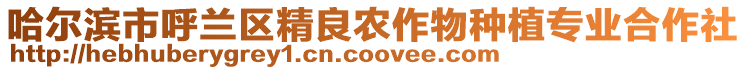 哈爾濱市呼蘭區精良農作物種植專業合作社