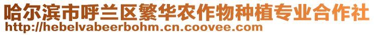 哈爾濱市呼蘭區繁華農作物種植專業合作社