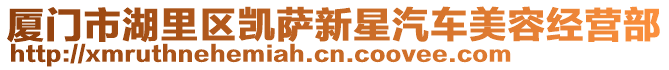 廈門市湖里區(qū)凱薩新星汽車美容經(jīng)營部