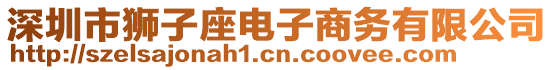 深圳市獅子座電子商務(wù)有限公司