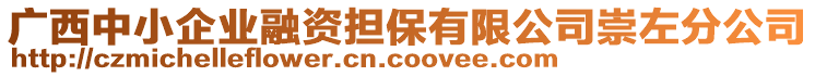 廣西中小企業(yè)融資擔保有限公司崇左分公司