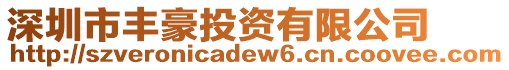 深圳市豐豪投資有限公司