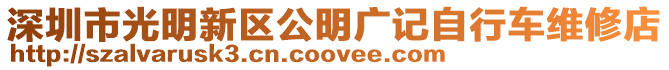深圳市光明新區(qū)公明廣記自行車維修店