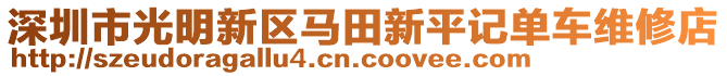 深圳市光明新區(qū)馬田新平記單車維修店