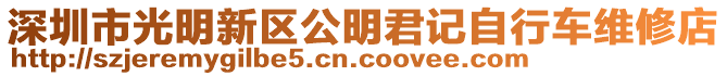 深圳市光明新區公明君記自行車維修店