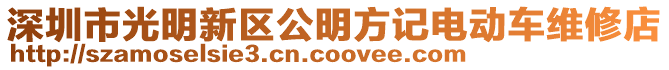 深圳市光明新區(qū)公明方記電動(dòng)車維修店