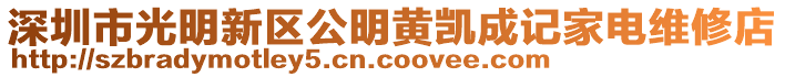 深圳市光明新區(qū)公明黃凱成記家電維修店