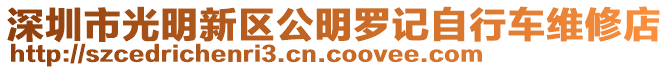 深圳市光明新區(qū)公明羅記自行車維修店