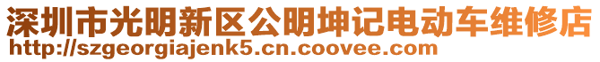 深圳市光明新區(qū)公明坤記電動車維修店