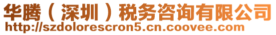 華騰（深圳）稅務咨詢有限公司