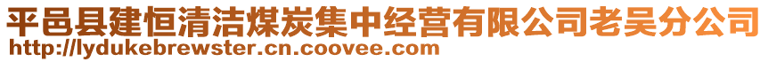 平邑縣建恒清潔煤炭集中經營有限公司老吳分公司