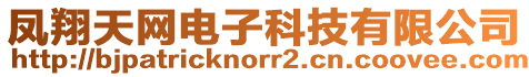 鳳翔天網電子科技有限公司