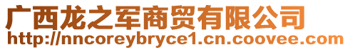 廣西龍之軍商貿(mào)有限公司