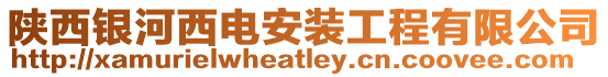 陜西銀河西電安裝工程有限公司