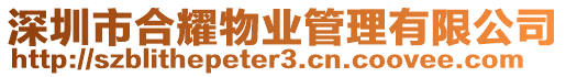 深圳市合耀物業管理有限公司