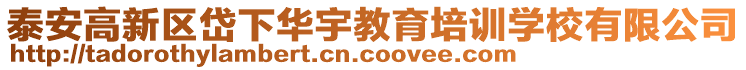 泰安高新區(qū)岱下華宇教育培訓(xùn)學(xué)校有限公司