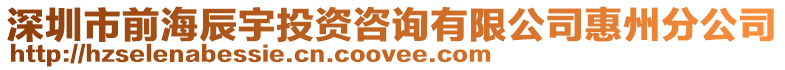 深圳市前海辰宇投資咨詢有限公司惠州分公司