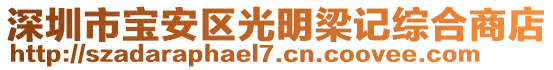 深圳市寶安區(qū)光明梁記綜合商店