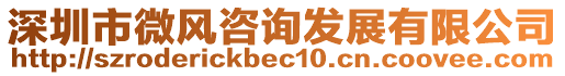 深圳市微風(fēng)咨詢發(fā)展有限公司