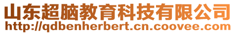 山東超腦教育科技有限公司