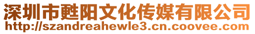 深圳市甦陽文化傳媒有限公司