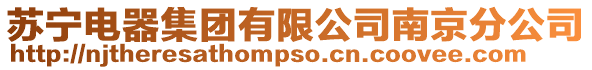 蘇寧電器集團(tuán)有限公司南京分公司
