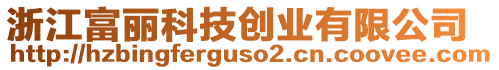 浙江富麗科技創(chuàng)業(yè)有限公司