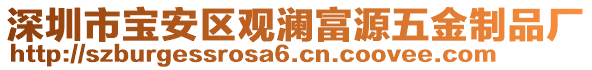 深圳市寶安區(qū)觀瀾富源五金制品廠(chǎng)