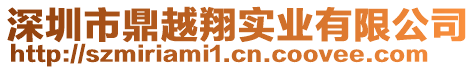 深圳市鼎越翔實業有限公司