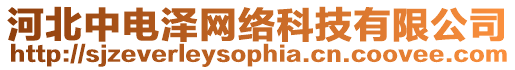 河北中電澤網(wǎng)絡(luò)科技有限公司