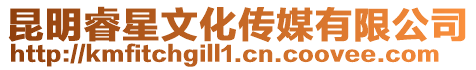 昆明睿星文化傳媒有限公司