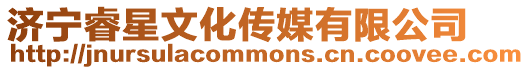 濟(jì)寧睿星文化傳媒有限公司