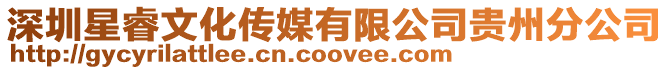 深圳星睿文化傳媒有限公司貴州分公司