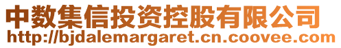 中數集信投資控股有限公司