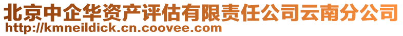 北京中企華資產評估有限責任公司云南分公司