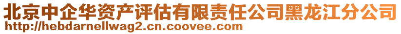 北京中企華資產(chǎn)評估有限責任公司黑龍江分公司