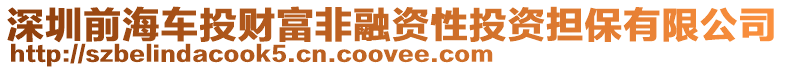 深圳前海車投財(cái)富非融資性投資擔(dān)保有限公司