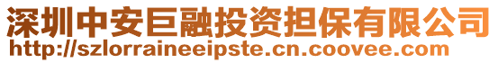 深圳中安巨融投資擔保有限公司