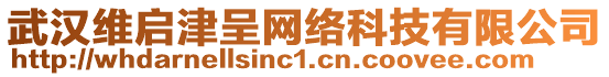 武漢維啟津呈網絡科技有限公司
