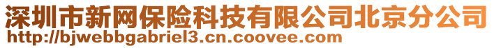 深圳市新網(wǎng)保險(xiǎn)科技有限公司北京分公司