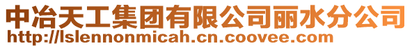 中冶天工集團有限公司麗水分公司